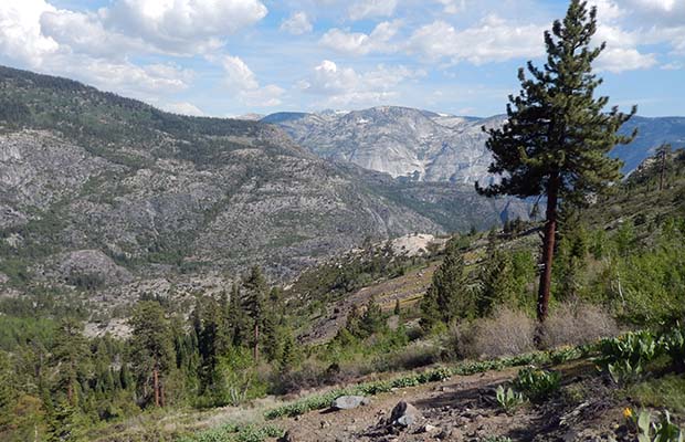Looking south into the Grand Canyon of the Tuolumne River from the Pleasant Valley trail.