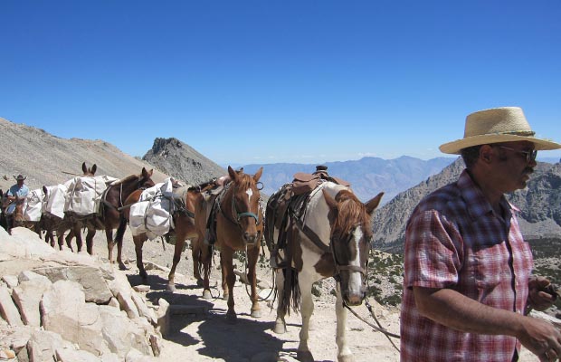 Another large mule-train crossing Kearsarge Pass