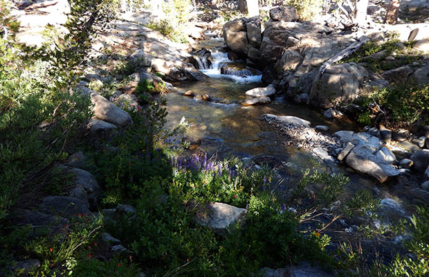 A lovely section of the West Fork of the Walker River at 9,400'