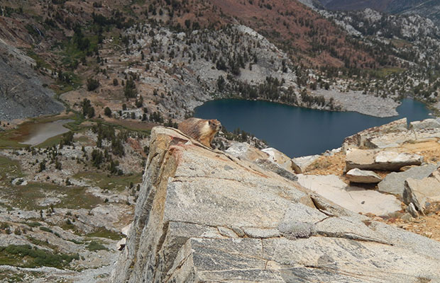 The guardian marmot at the top of Hopkins Pass.  Big McGee Lake below.