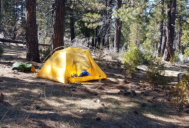My tent at Cedars Camp on the Hat Creek Rim.  Where's Mr. Nobody hiding?
