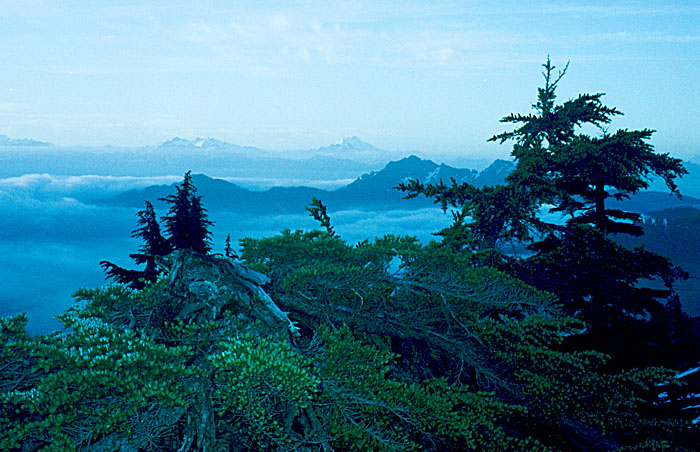 Looking south from my camp on the Mount Watson ridge ... Glacier Peak on the right skyline