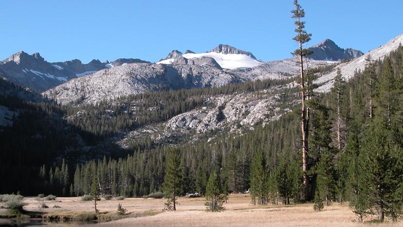 The upper reaches of Lyell Canyon with Mt. Lyell on the skyline