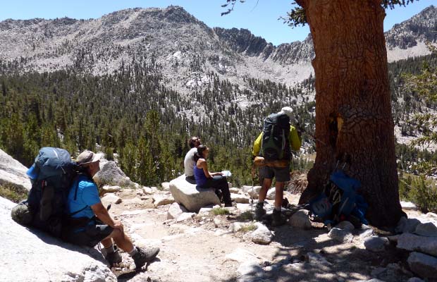 Discussing the presence of an old Foxtail Pine on the JMT above Charlotte Lake