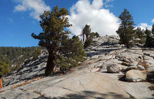 On the granite slabs near the intersection of Bear Creek Trail and the JMT