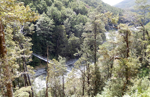 The suspension bridge across the bottom of Cannibal Gorge.