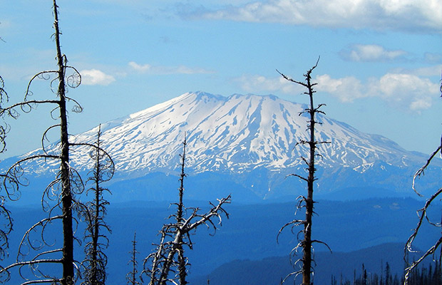 Mount St Helens as seen from the PCT on Mount Adams