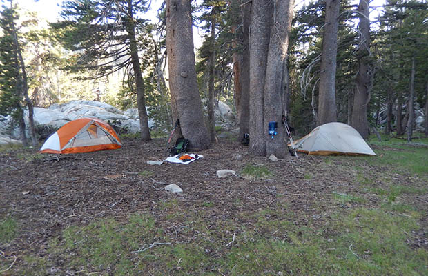 Our camp at &quot;Mosquito Heaven&quot; on the banks of the Walker River West Fork