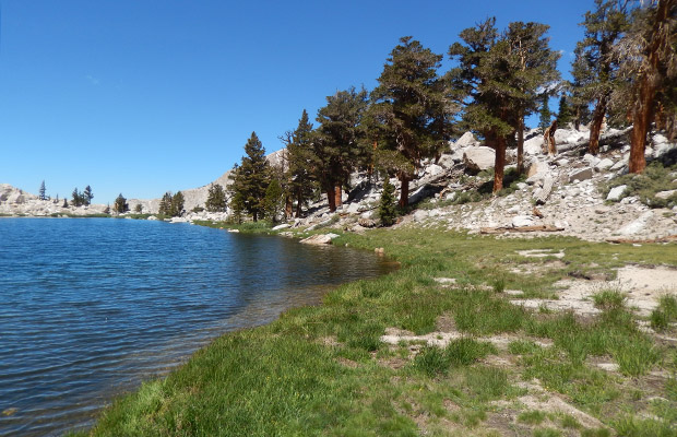 The shoreline of Upper Soldier Lake at an elevation of 11,300'.