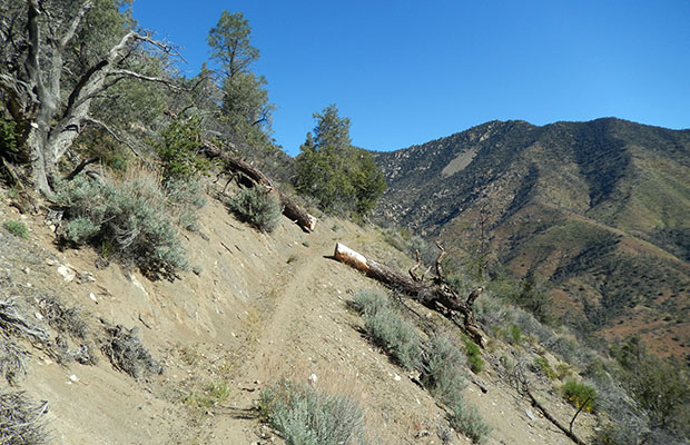 Part of the well graded, well formed trail