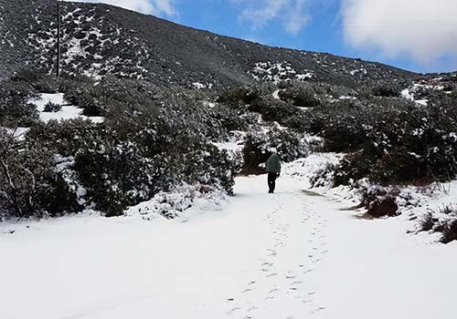 Another snow day between the Third Gate and Barrel Springs